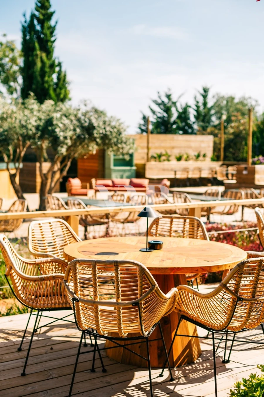 Negócio para Venda em Almancil Foto 9