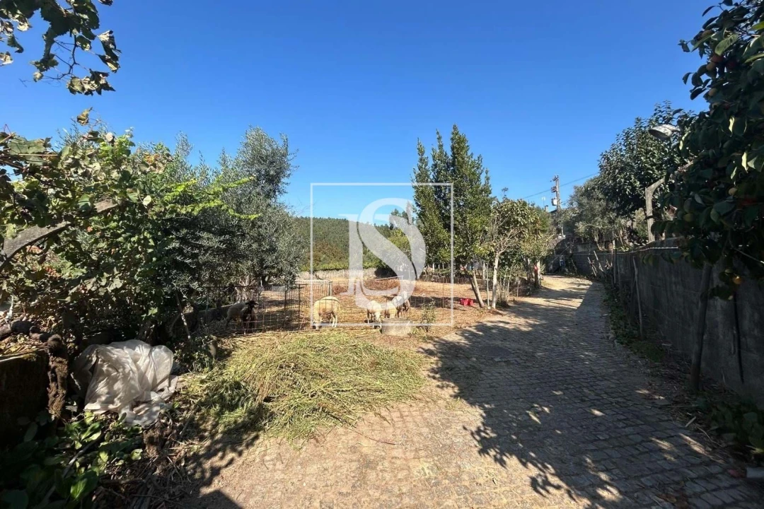 Terreno para Venda em Pala Foto 14