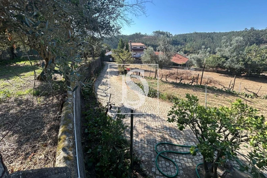 Terreno para Venda em Pala Foto 22