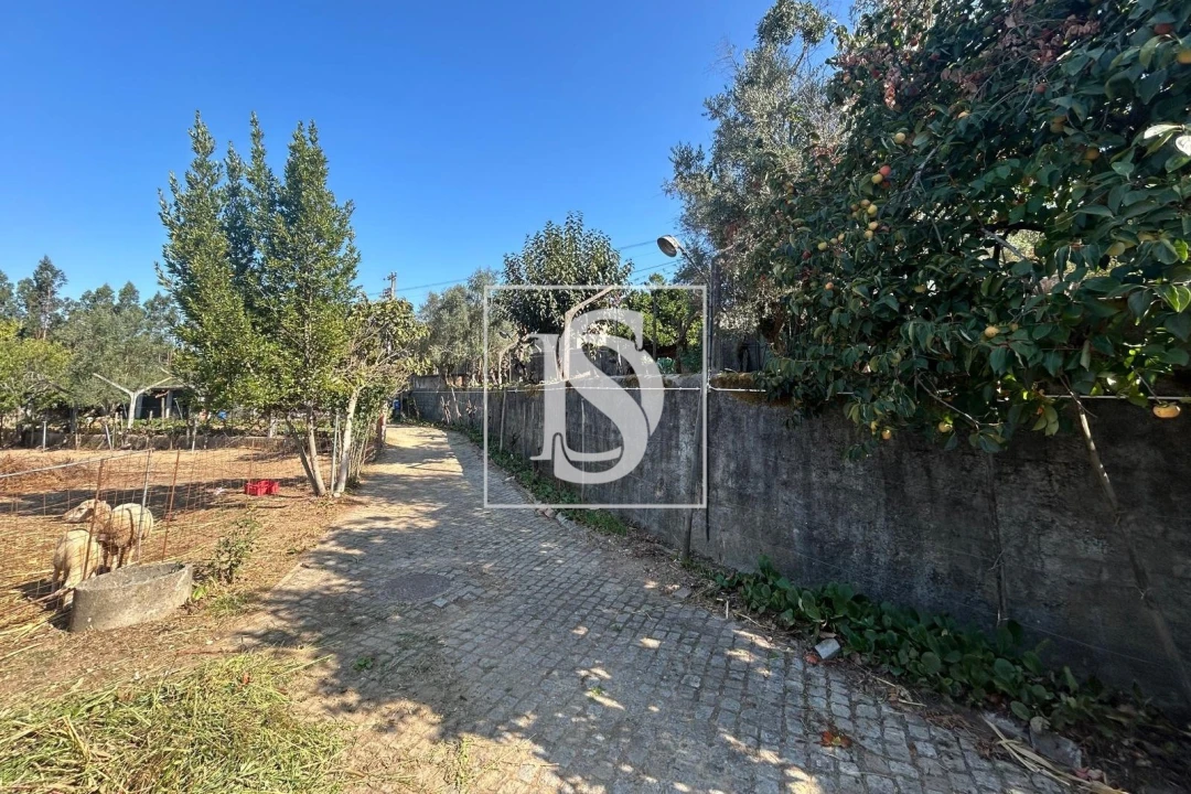 Terreno para Venda em Pala Foto 18