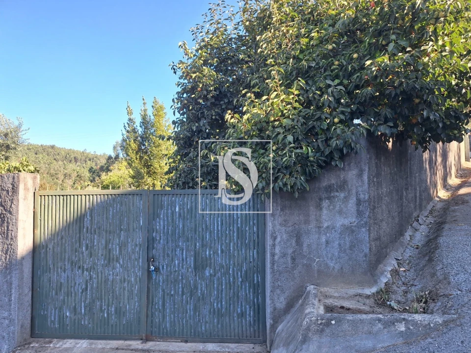 Terreno para Venda em Pala Foto 1