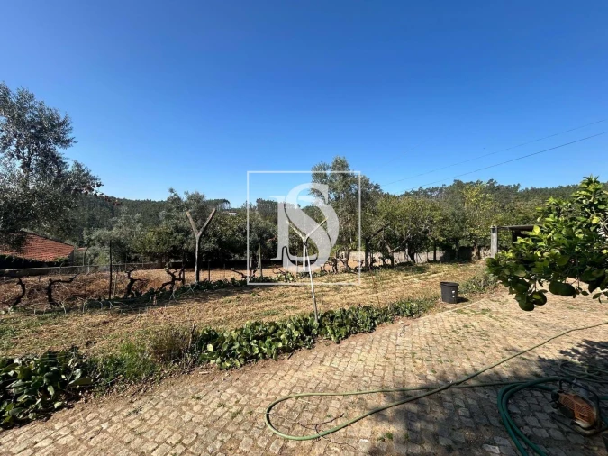 Terreno para Venda em Pala Foto 10