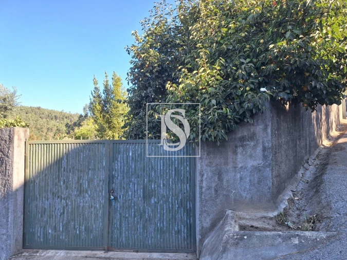 Terreno para Venda em Pala