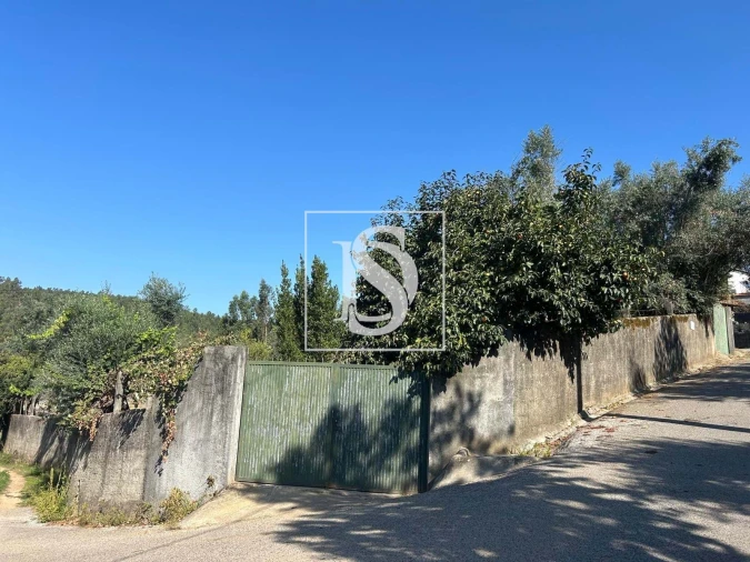 Terreno para Venda em Pala Foto 8