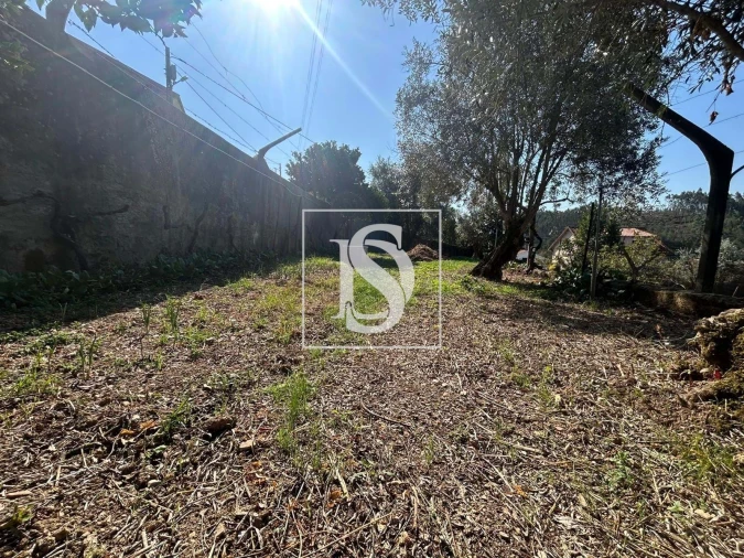 Terreno para Venda em Pala Foto 15