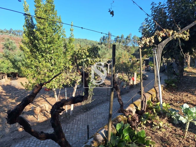 Terreno para Venda em Pala Foto 7