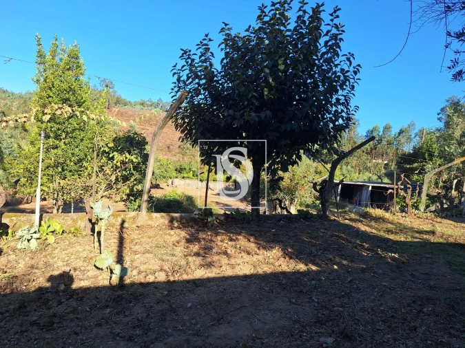 Terreno para Venda em Pala Foto 4