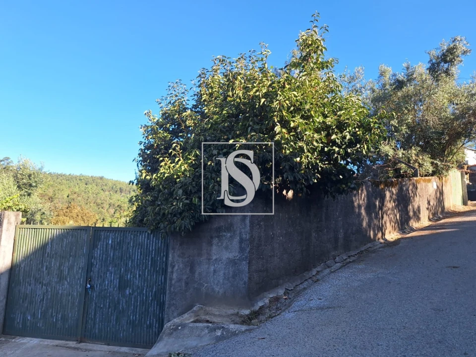 Terreno para Venda em Pala Foto 2