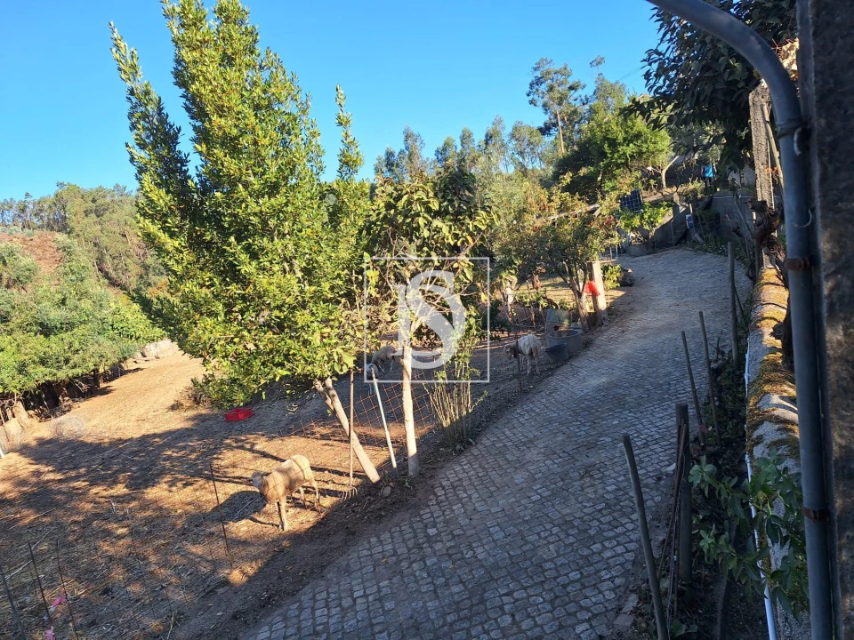 Terreno para Venda em Pala Foto 6