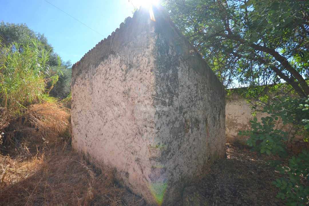 Terreno para Venda em Salir Foto 18