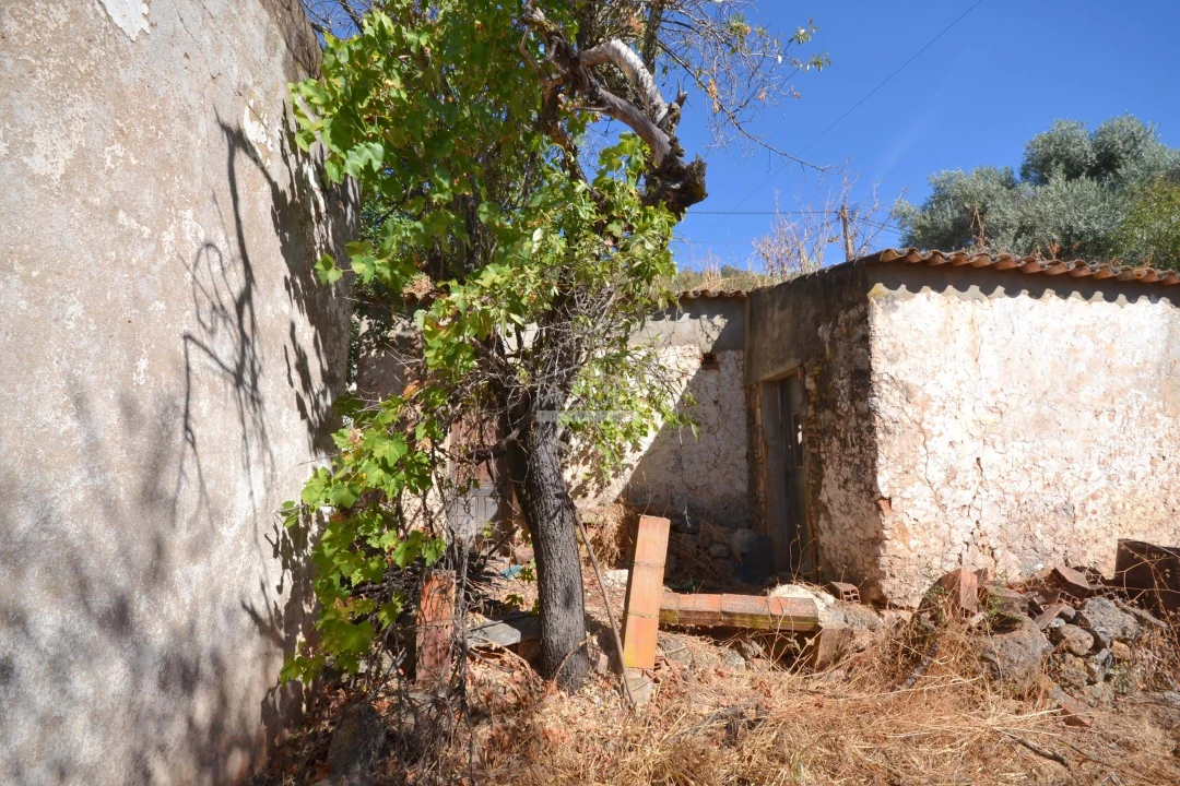Terreno para Venda em Salir Foto 9