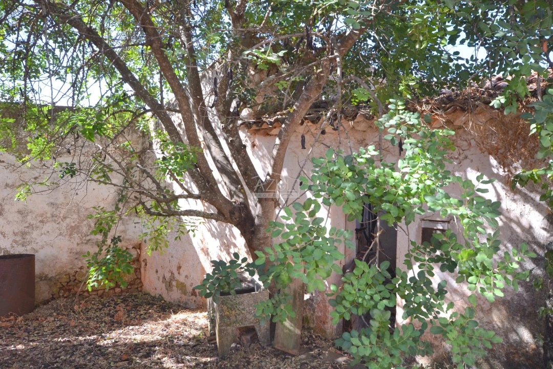 Terreno para Venda em Salir Foto 16