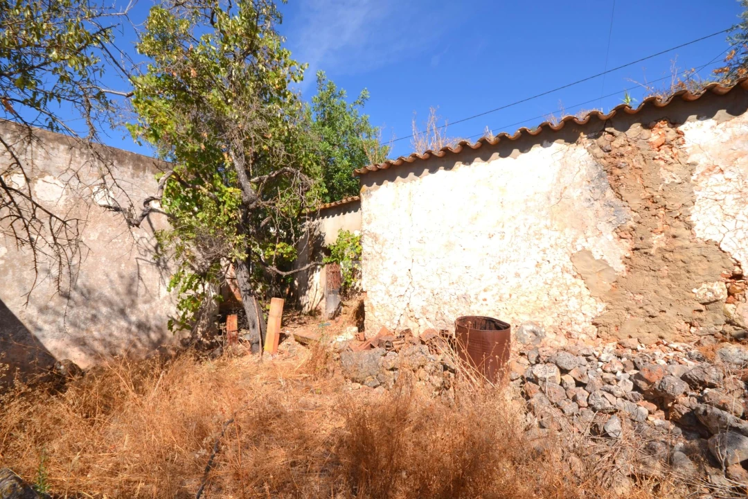 Terreno para Venda em Salir Foto 10