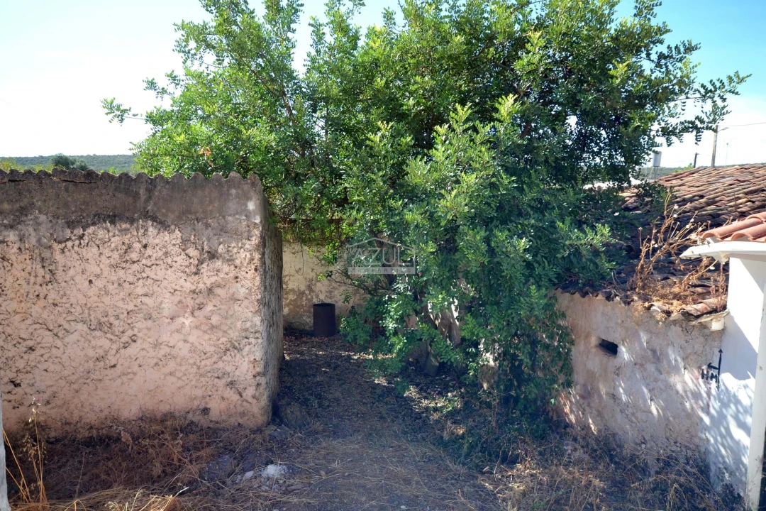 Terreno para Venda em Salir Foto 3