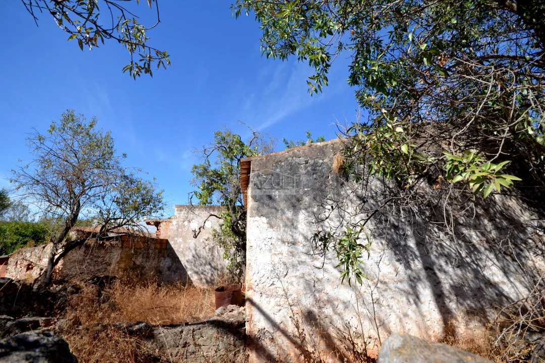 Terreno para Venda em Salir Foto 20