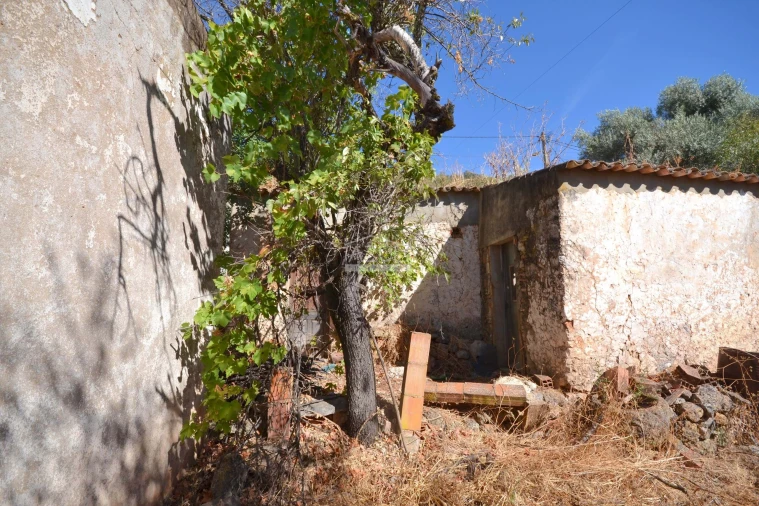 Terreno para Venda em Salir Foto 9