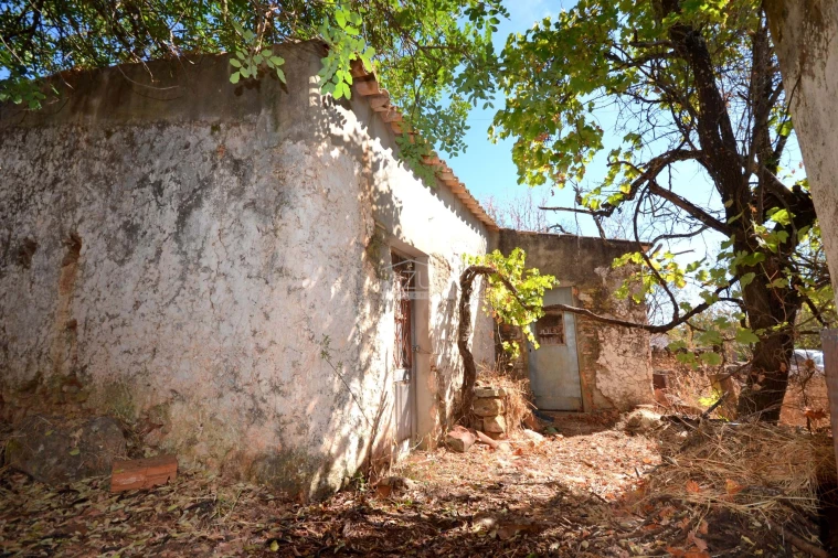 Terreno para Venda em Salir Foto 13