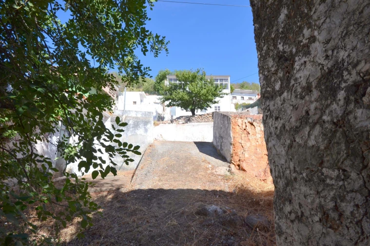 Terreno para Venda em Salir Foto 4