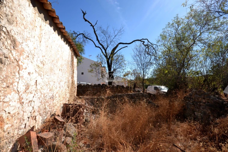 Terreno para Venda em Salir Foto 11