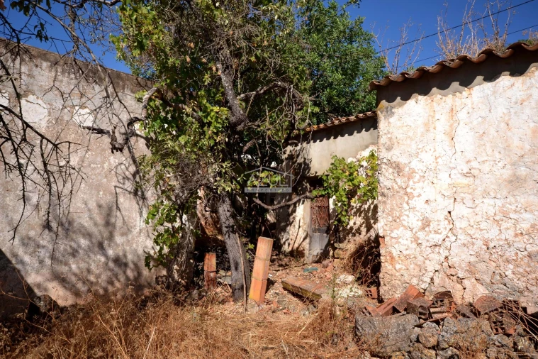 Terreno para Venda em Salir Foto 7