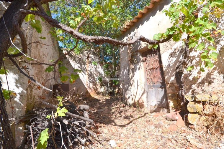 Terreno para Venda em Salir Foto 5