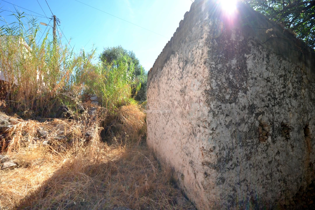 Terreno para Venda em Salir Foto 19