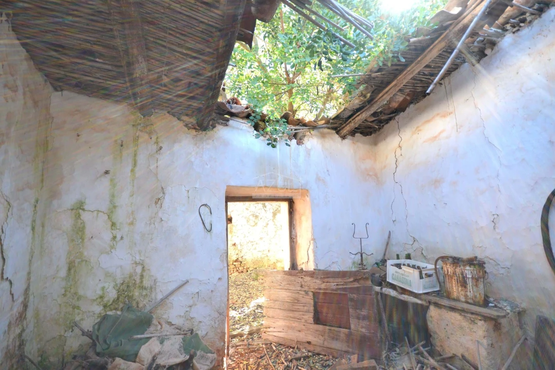 Terreno para Venda em Salir Foto 24