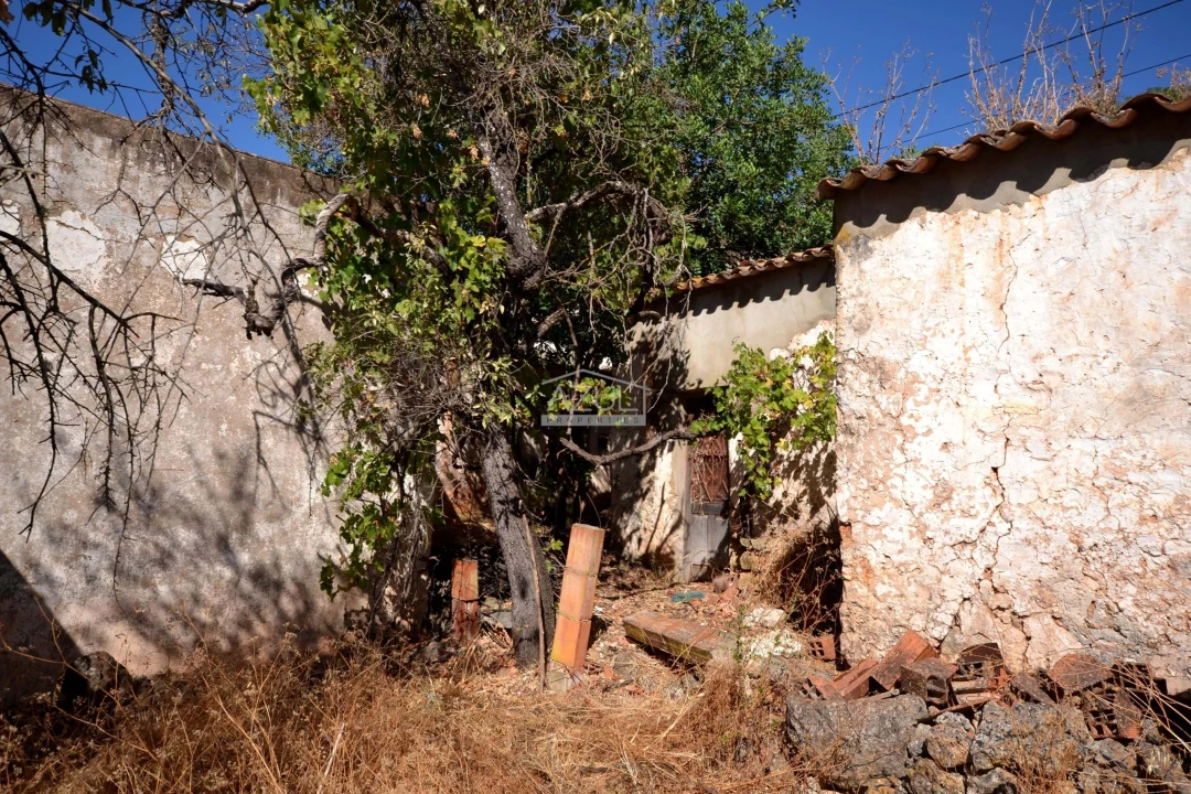 Terreno para Venda em Salir Foto 7