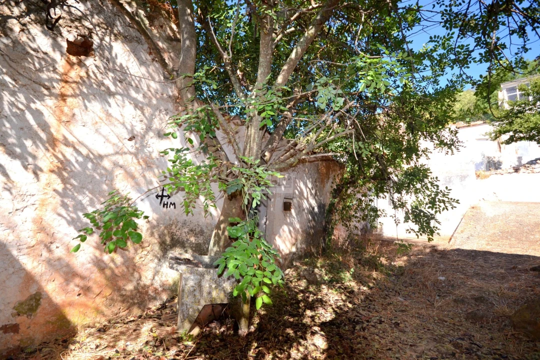 Terreno para Venda em Salir Foto 6