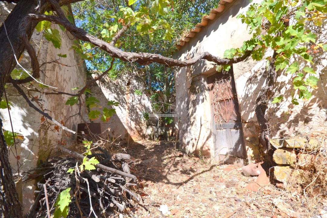 Terreno para Venda em Salir Foto 5