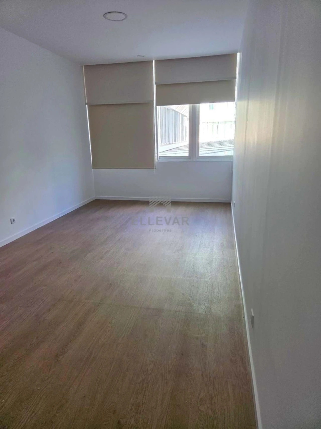 Negócio para Arrendamento em Funchal (Se) Foto 1