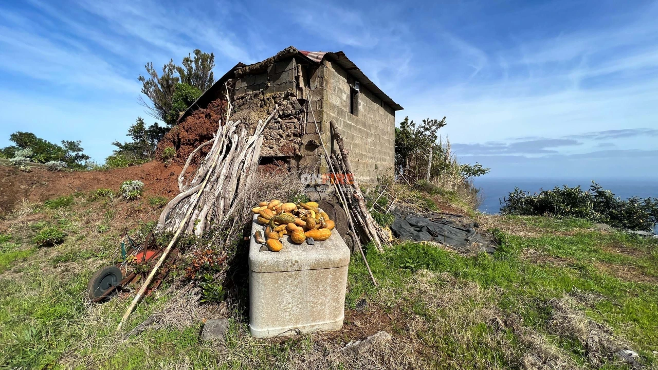 Terreno para Venda em São Jorge Foto 9