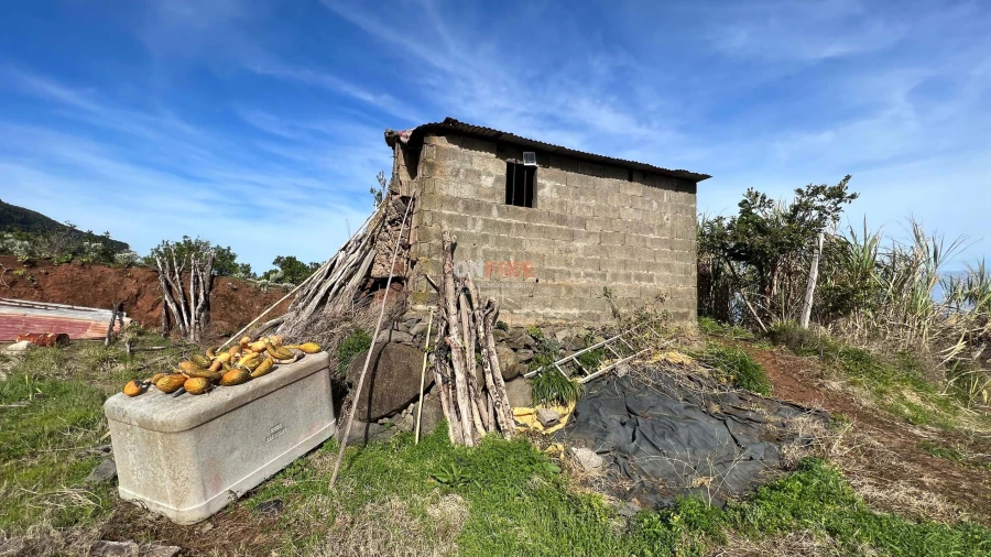 Terreno para Venda em São Jorge Foto 7