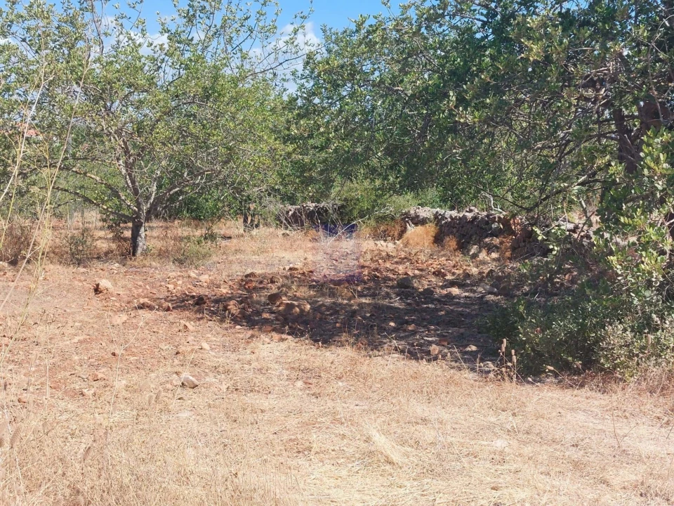 Terreno para Venda em Silves Foto 6