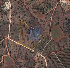Terreno para Venda em Silves
