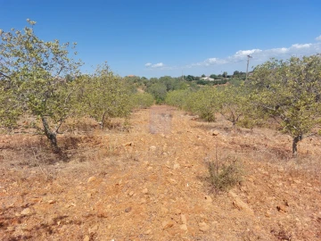 Terreno para Venda em Silves