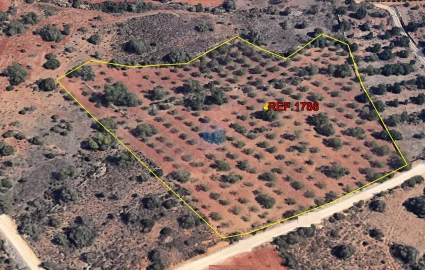 Terreno para Venda em Silves