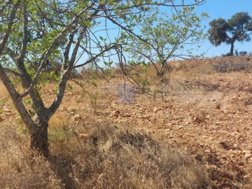 Terreno para Venda em Silves