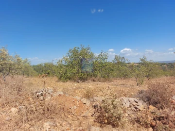 Terreno para Venda em Silves