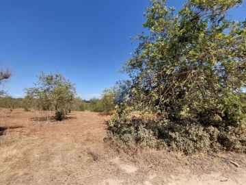 Terreno para Venda em Silves
