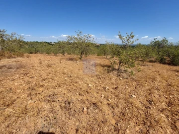 Terreno para Venda em Silves
