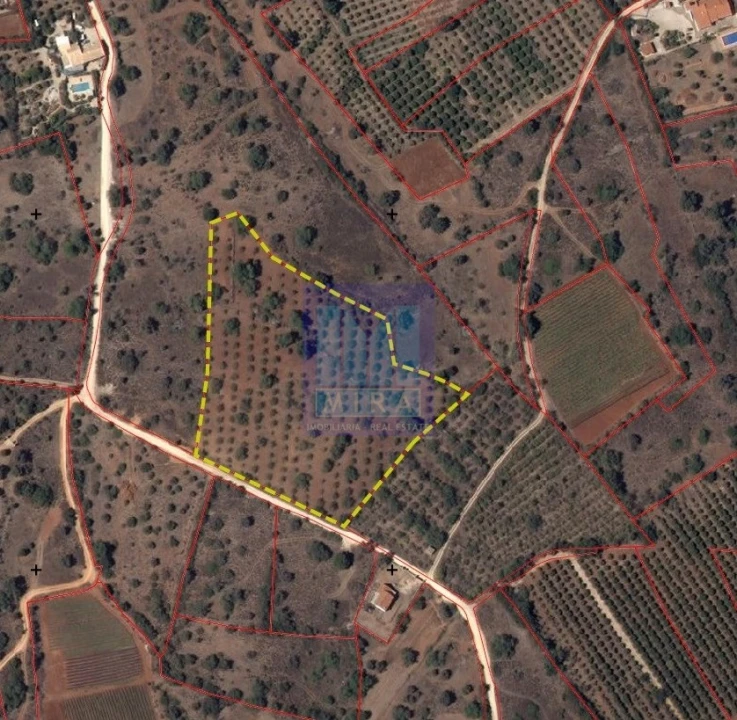 Terreno para Venda em Silves Foto 4