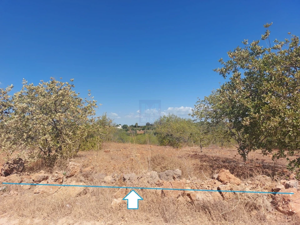 Terreno para Venda em Silves Foto 17