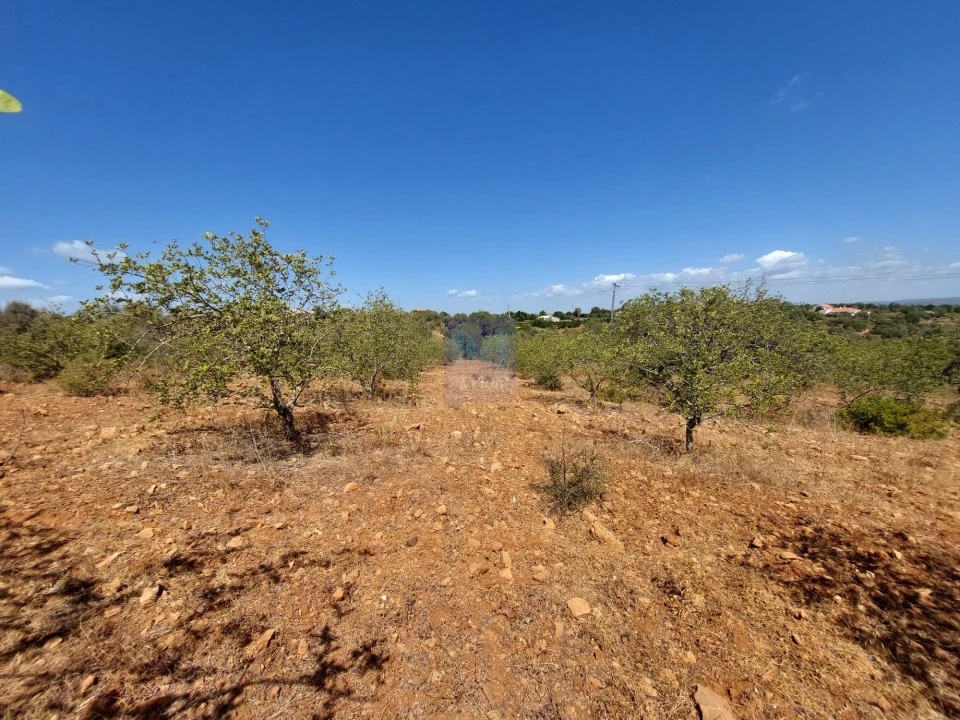 Terreno para Venda em Silves Foto 15