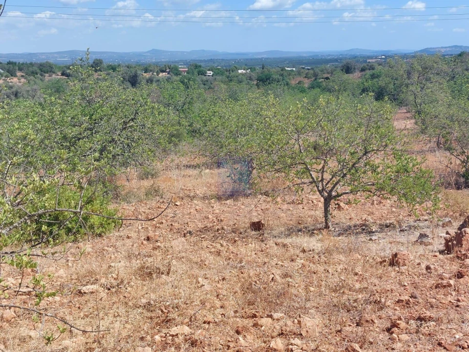 Terreno para Venda em Silves Foto 1