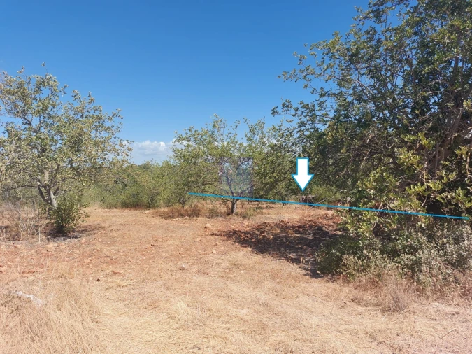 Terreno para Venda em Silves Foto 18