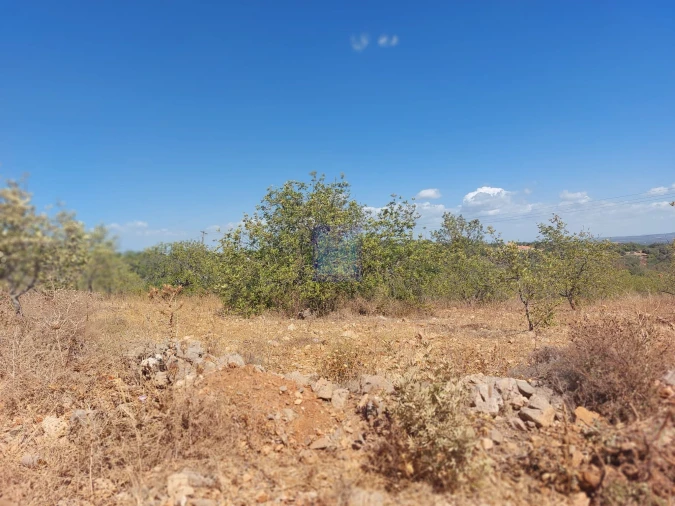 Terreno para Venda em Silves Foto 12