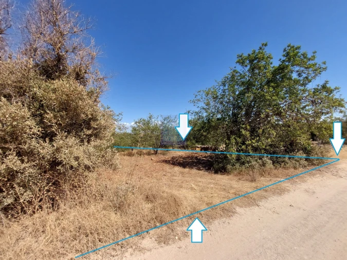 Terreno para Venda em Silves Foto 5