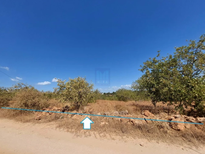 Terreno para Venda em Silves Foto 7