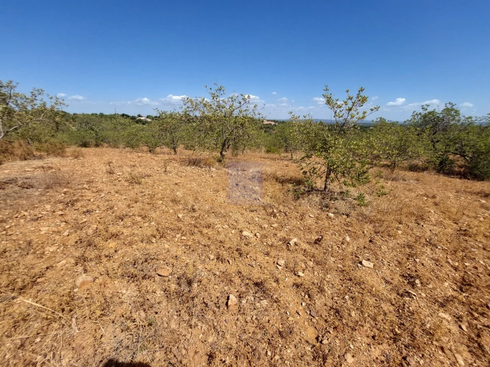 Terreno para Venda em Silves Foto 16